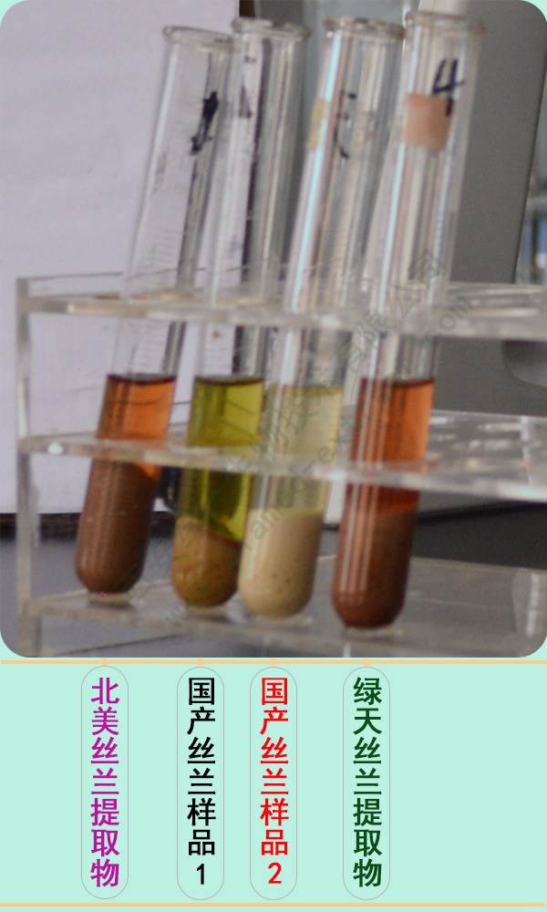丝兰对比图