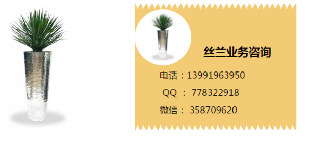 丝兰提取物 丝兰厂家