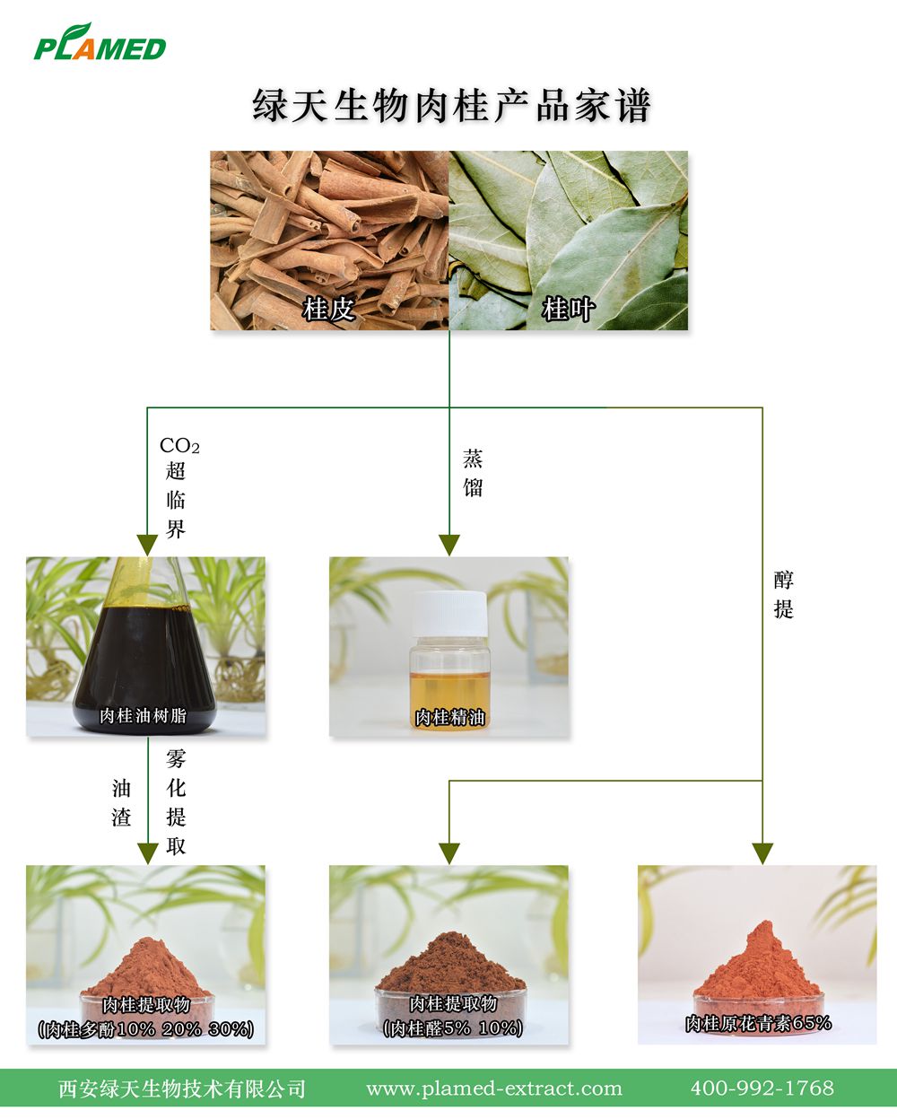 cinnamon products