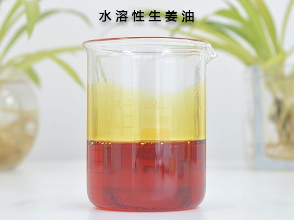 水溶性生姜油