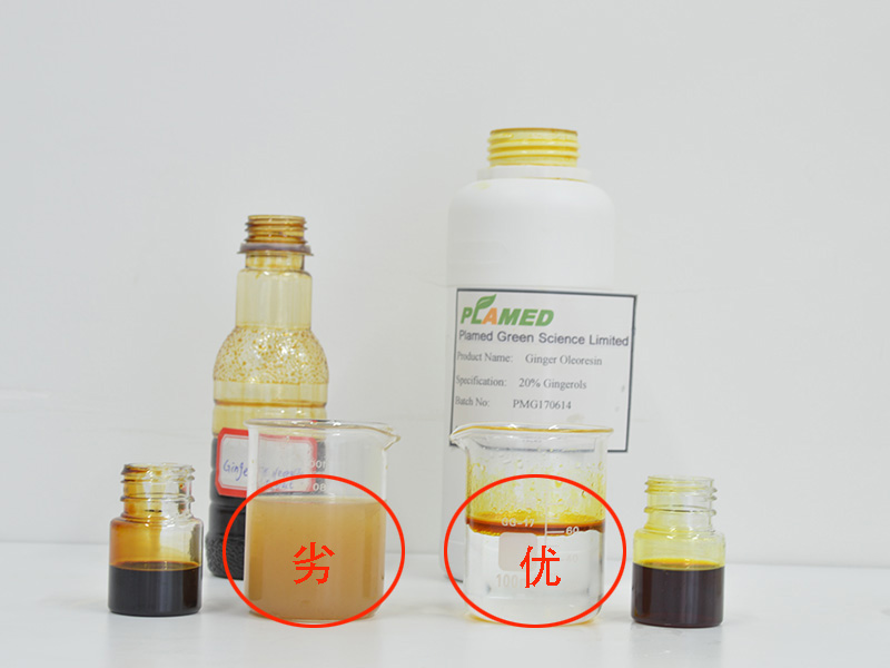 生姜油树脂的优劣好坏鉴定法