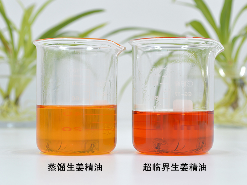 蒸馏生姜精油和超临界生姜精油