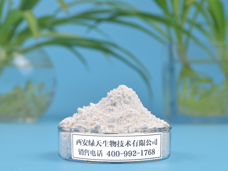 珠丝毛蓝耳草根提取物