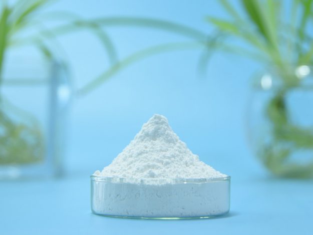 白柳树皮提取物-水杨苷