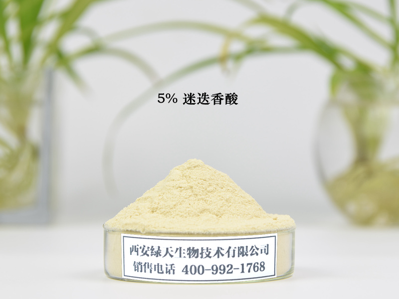 迷迭香叶提取物