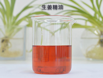 生姜精油